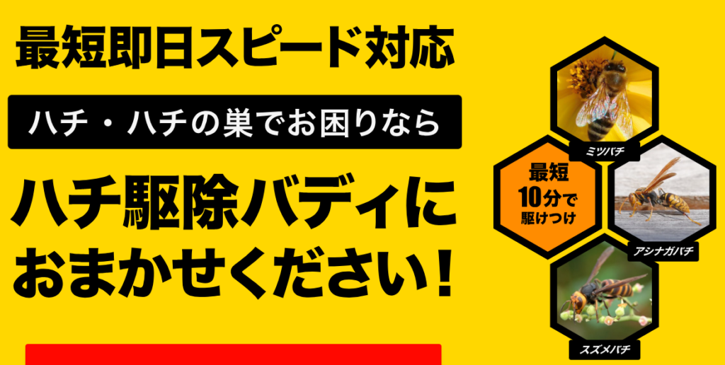 ハチ駆除バディ