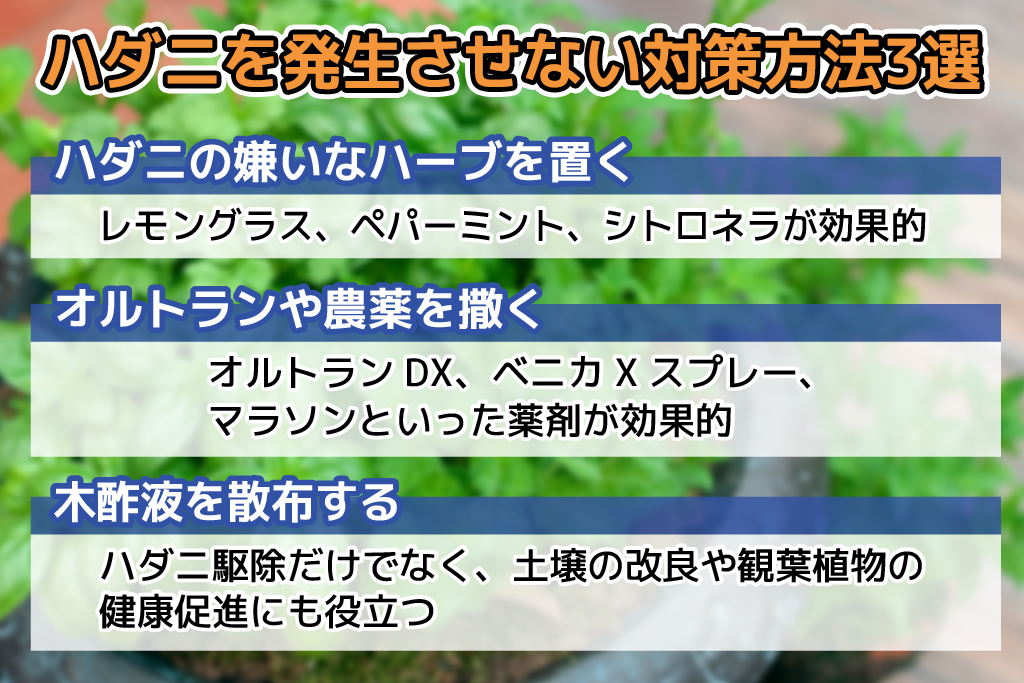 ハダニの駆除方法と対策！人体への影響やおすすめの殺虫剤は？ - 害虫駆除ドクター