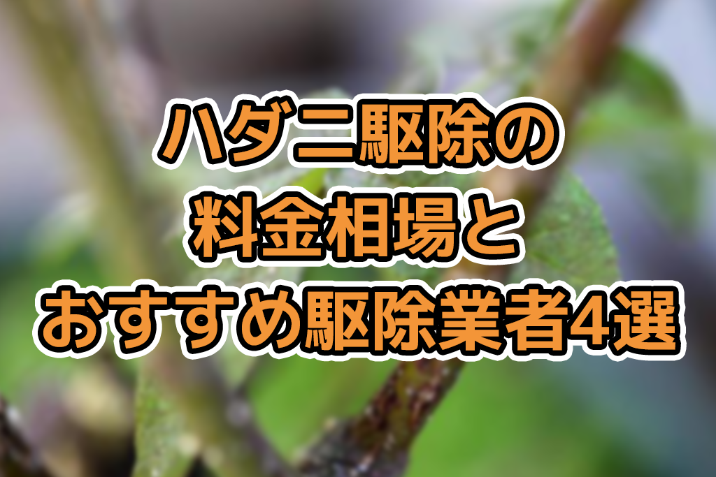 ハダニの駆除方法と対策！人体への影響やおすすめの殺虫剤は？ - 害虫駆除ドクター